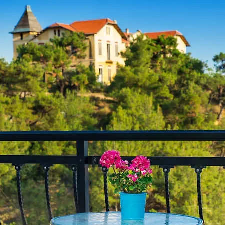 Vintage Place לימנריה