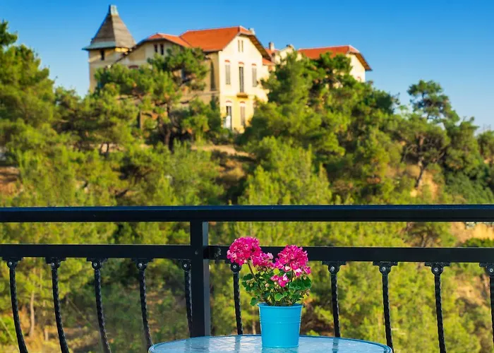 Vintage Place リメナリア